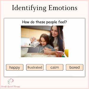 Identifying Emotions