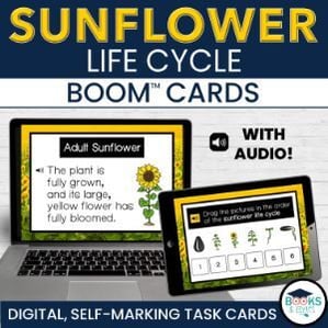 Sunflower Life Cycle