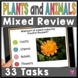 Plants & Animals